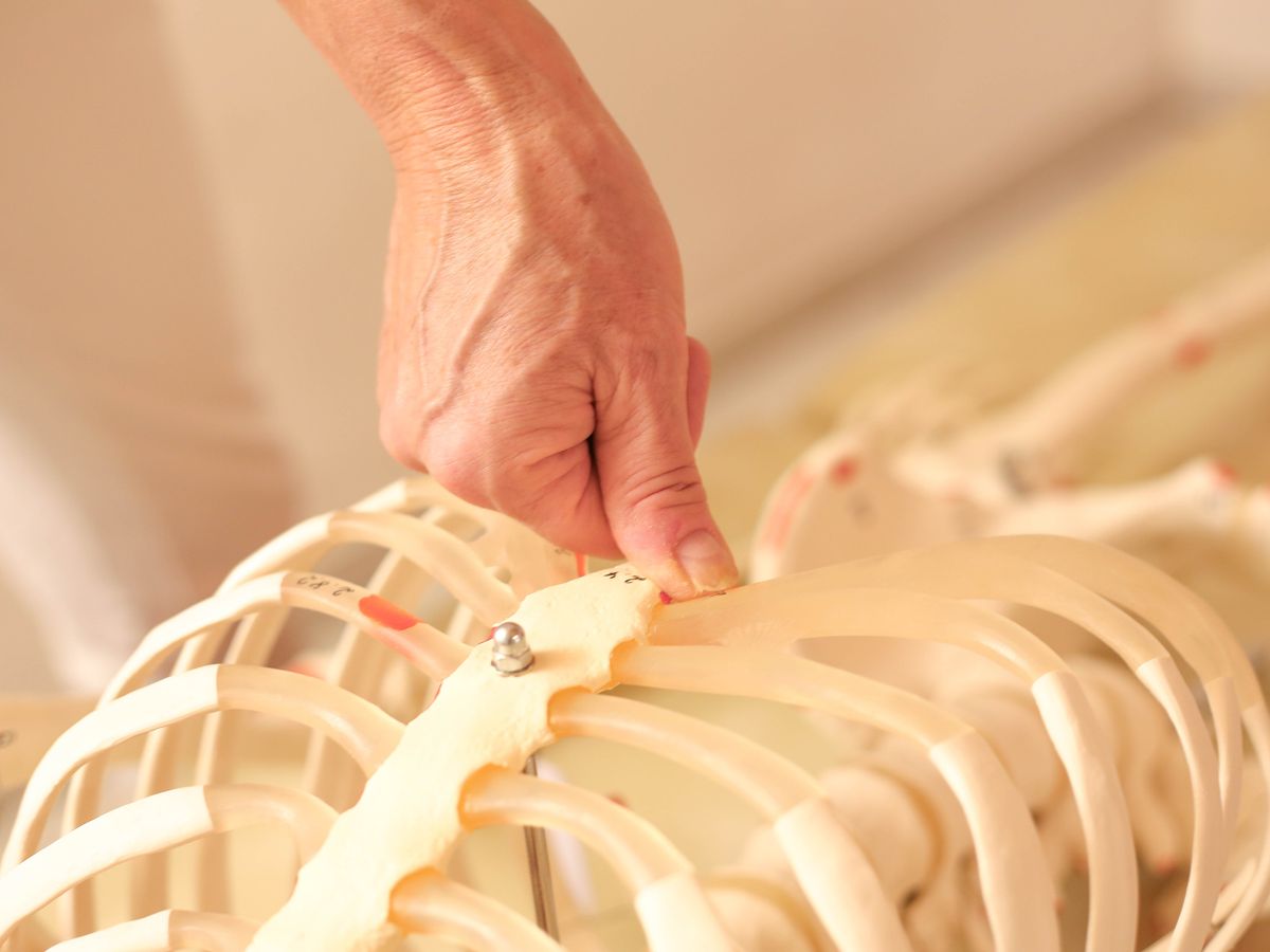Osteopressur an definierten Druckpunkten, gezeigt am Anatomiemodell